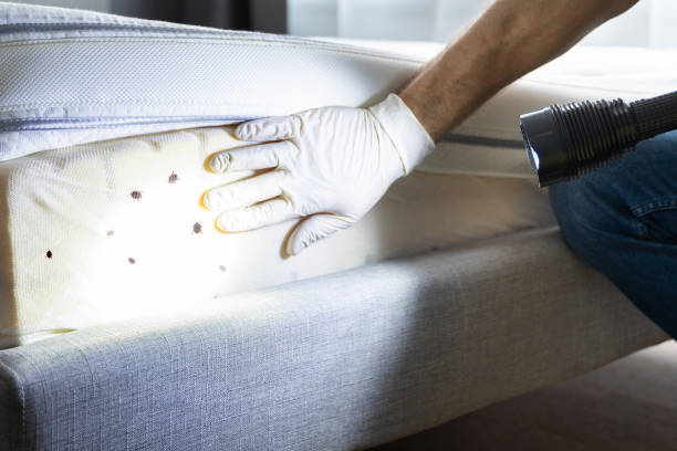Best Pest Prevention Services  in Vinco, PA